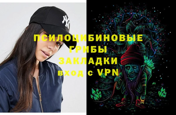apvp Вязьма
