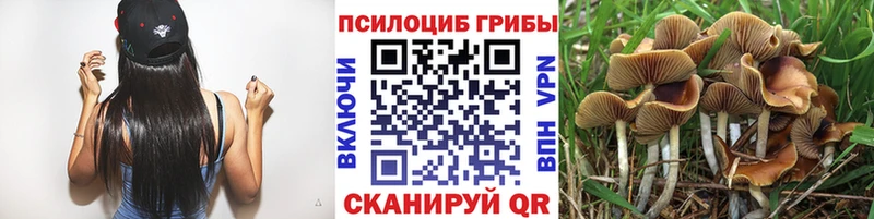 Псилоцибиновые грибы Psilocybine cubensis  Купить  Нягань 